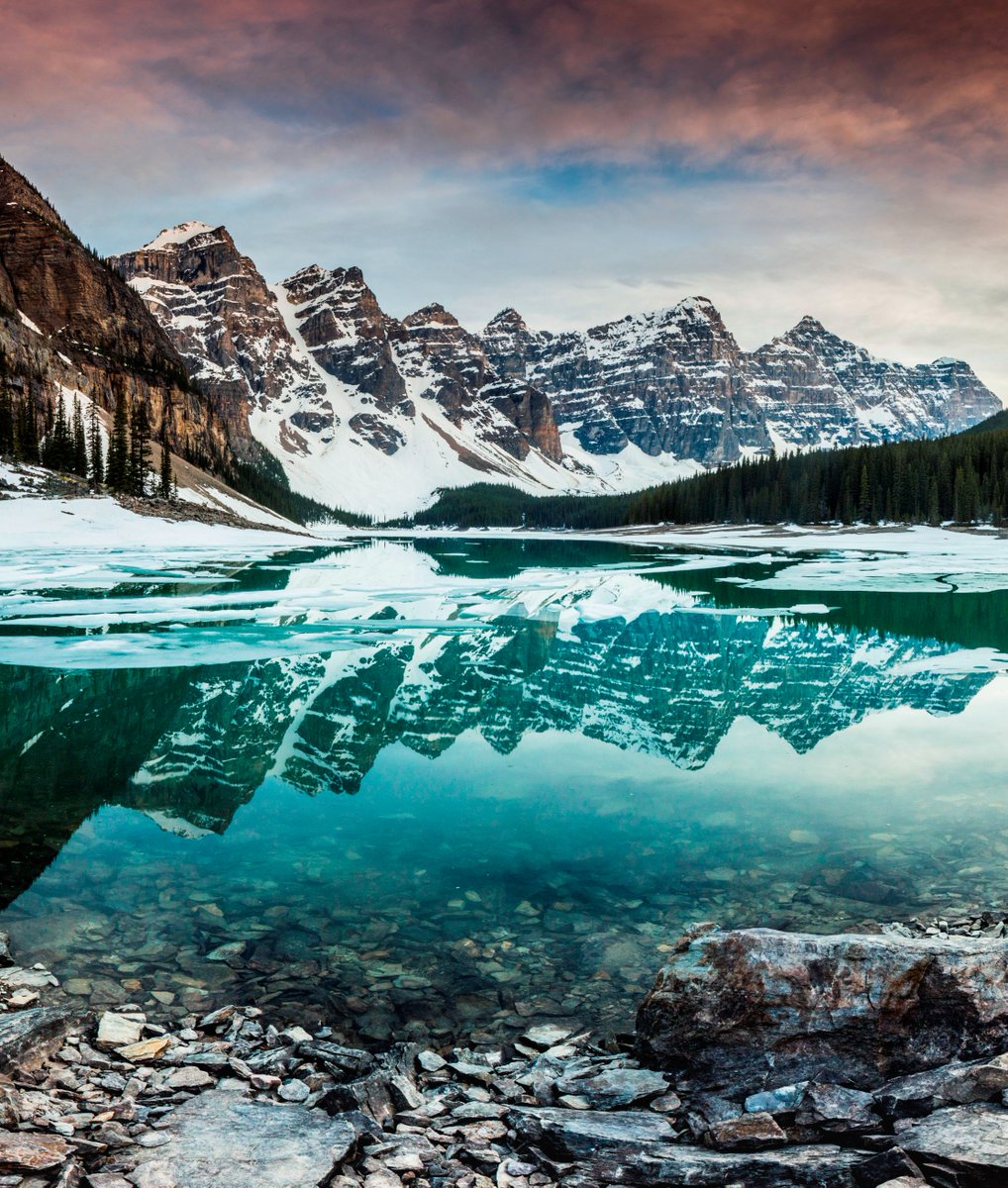 Tina Koskima 🕊️ tweet media