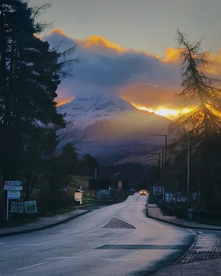 The Real Food Cafe tweet media