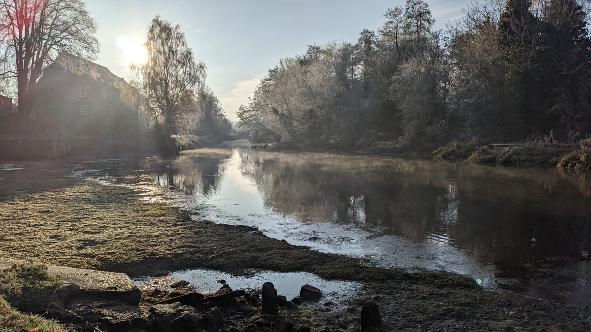 bantam_studio's tweet photo. The river Wensum is especially low this morning following water supply issues with @AnglianWater 
Gulls seem to be making the most of the exposed river bed, but a strange site with such a heavy frost.   #Norwich #river #wensum https://t.co/ESKJ8iTNrh