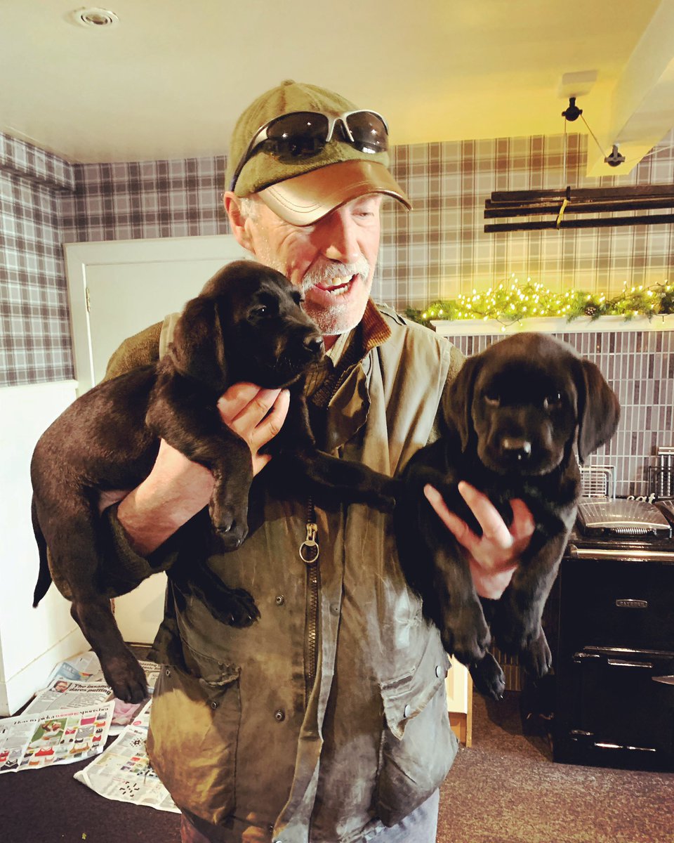 gplen100's tweet photo. Meet the newest members of our team! 

To Billy’s right - our girl Fleet 
To Billy’s left - our lad Rannoch 

Named after Scottish lochs and testament to the breeds love of water! 

Welcome to your new home 
🐾🐾    🐾🐾 https://t.co/D4OIarl4HA