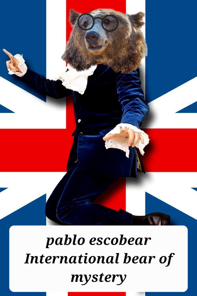 james_predator's tweet photo. my good mate escobear refer himself as an international bear of mystery https://t.co/k0QsXOMRgS