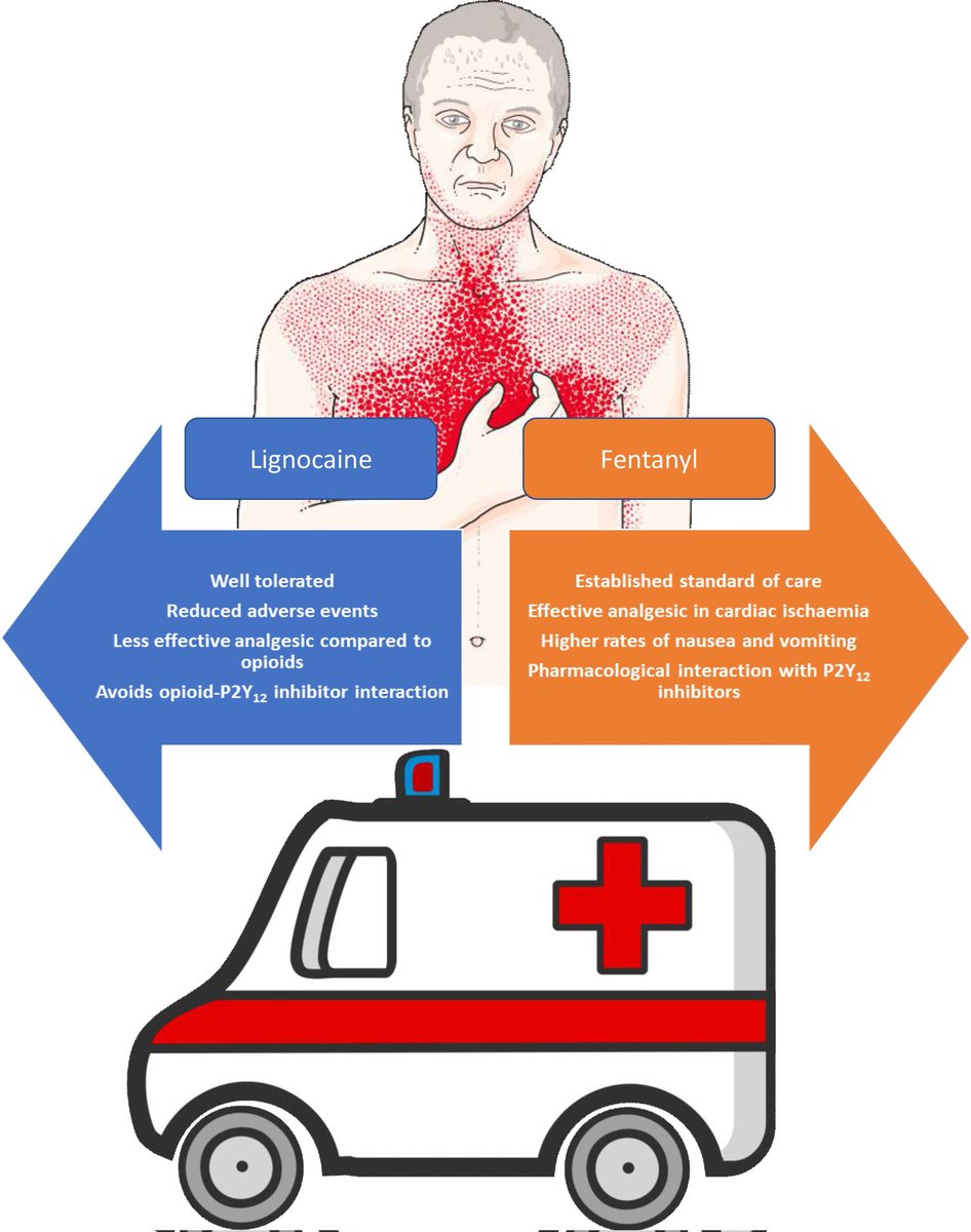 🤩🤩 So proud of our <a href="/AmbulanceVic/">Ambulance Victoria</a> paramedics who enrolled over 300 pts into the AVOID-2 trial in just 9 months! IV lidocaine not non-inferior to fentanyl for pain reduction but was better tolerated in #STEMI <a href="/VCOR_AU/">VCOR</a> <a href="/karensmith_av/">Prof Karen Smith OAM</a> <a href="/emandrew1/">Emily Nehme</a> doi.org/10.1093/ehjacc…