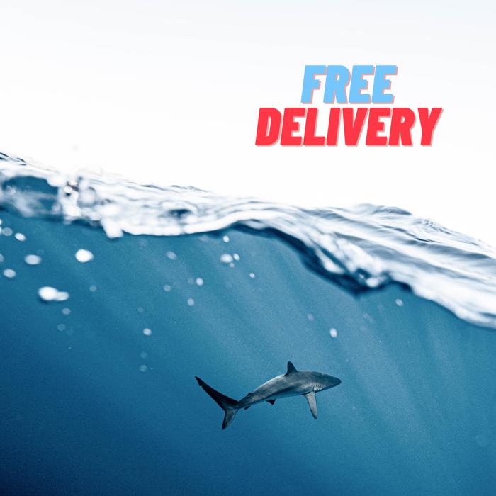Lincolnhunter's tweet photo. 🌴🌊🥁🎙️🎄🎁FRE DELIVERY 🎁🎄🎙️🥁🌊🌴 ❤️‍🔥MY FIRST FULL ALBUM RELEASE ❤️‍🔥 CHECK IT OUT ON Youtube, Spotify, Apple Music/iTunes, Deezer, Tidal and so much more!!! https://t.co/N6mIbpnmsw