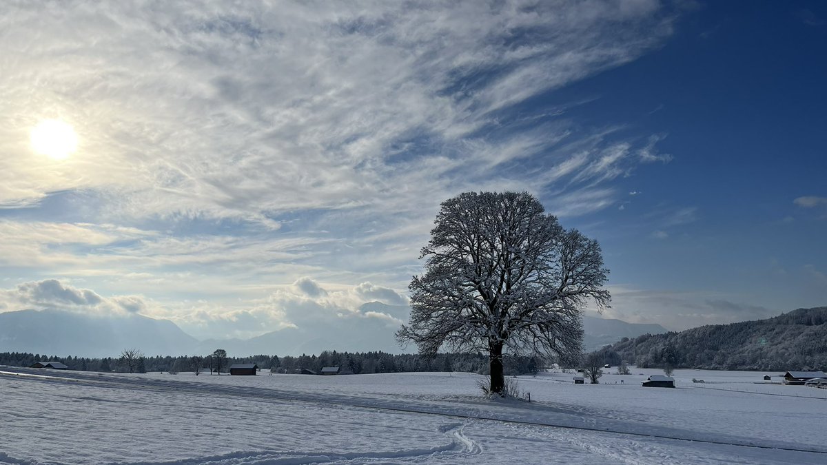 #Bavaria #sundayvibes