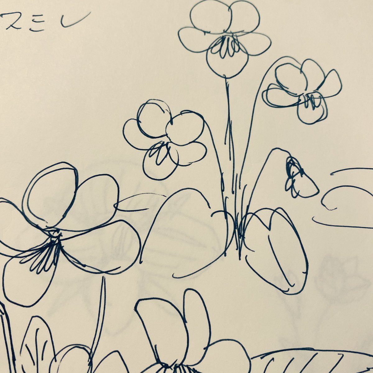 野の花の研究。 