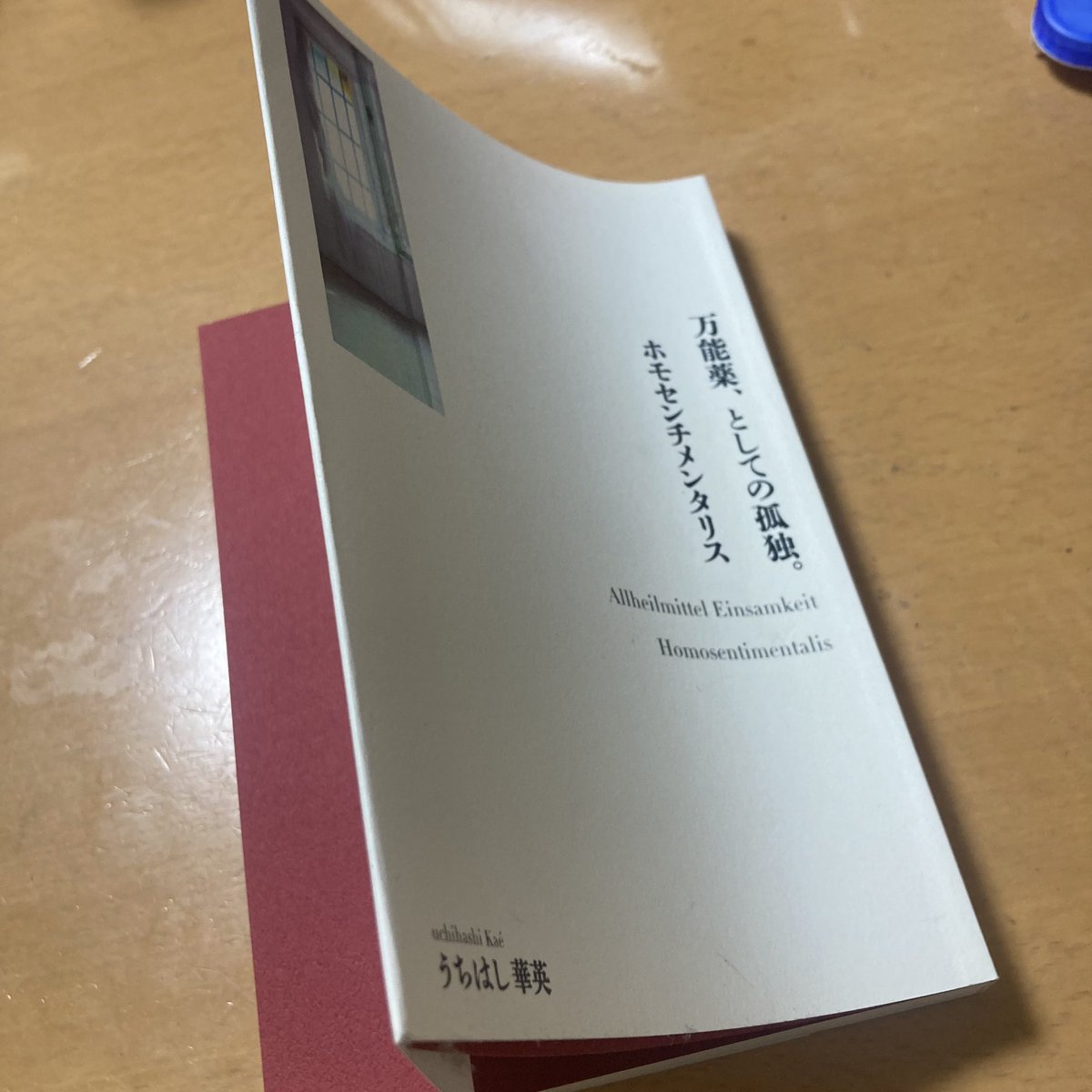 chiisana_sukima's tweet photo. 先日製本させて頂いた
うちはし華英さん著『万能薬、としての孤独。』
小口折の仕様がいいですね。 https://t.co/aArb42EHzl
