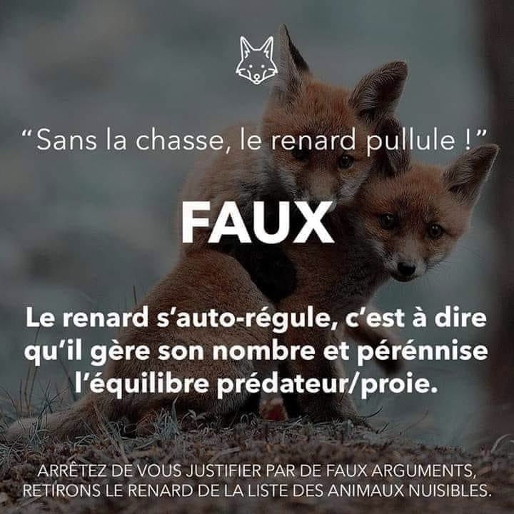 ChasseAbolition's tweet photo. https://t.co/xilnnTVSZP