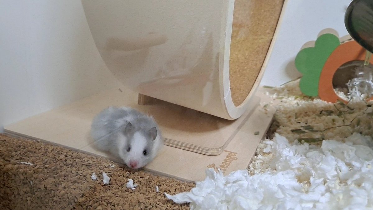 아니
첫 샷이 좀 기묘하게 나온거같다?