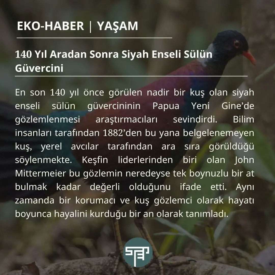 Step4cities's tweet photo. Kasım Ayında Çevre Gündeminde Neler oldu?: Aylık Eko-Haber🌿

Haberlerin tamamı ve daha fazlası web sitemizde! (https://t.co/56zzfKQfdY) https://t.co/0fP1WlBcIZ