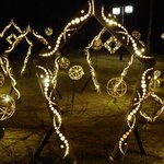 ツイートに含まれる画像