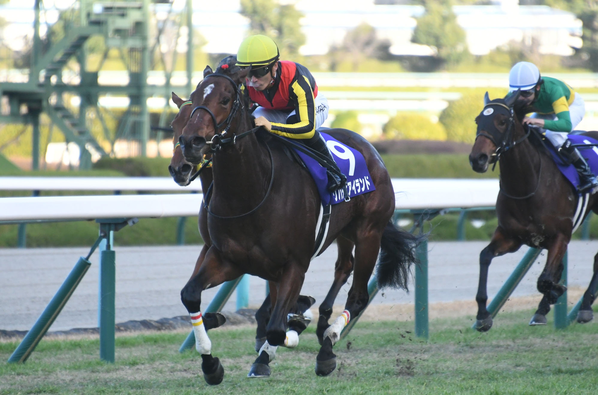 リバティアイランド　阪神ジュベナイルフィリーズ　額入りミニゼッケン競馬　阪神JF リバティアイランド 阪神ジュベナイルフィリーズ 額入りミニ
