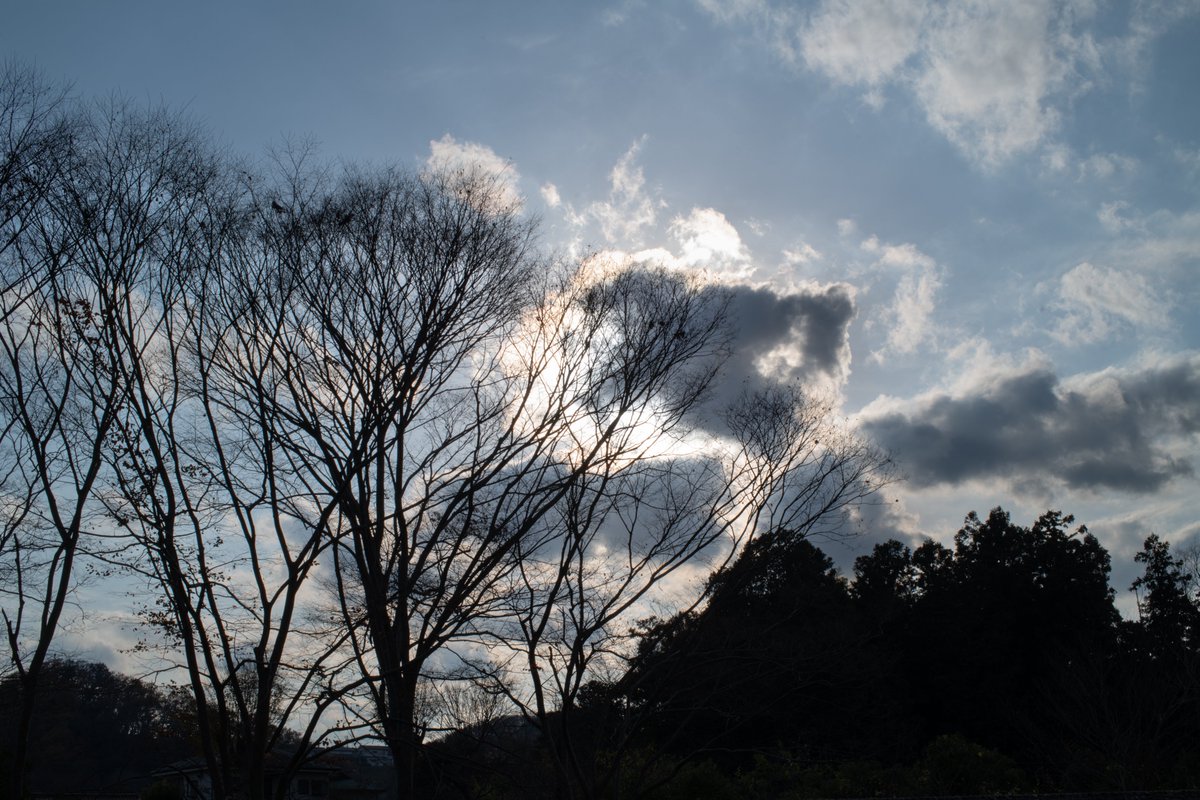SunsetSnaps's tweet photo. RT @jojotaikoyaro: 極限まで絞ってF16、逆光フォトです。しっかりコントラストしてるし、古いレンズなことを忘れます。
（RAW現像はしています）
Nikon D850
Ai NIKKOR 50mmF1.2S

#snasphot #sunsetphotography #nikond850 #nikkor50mmf12s #Akiruno #Tokyo #Japan https://t.co/NT21a9FeQ3