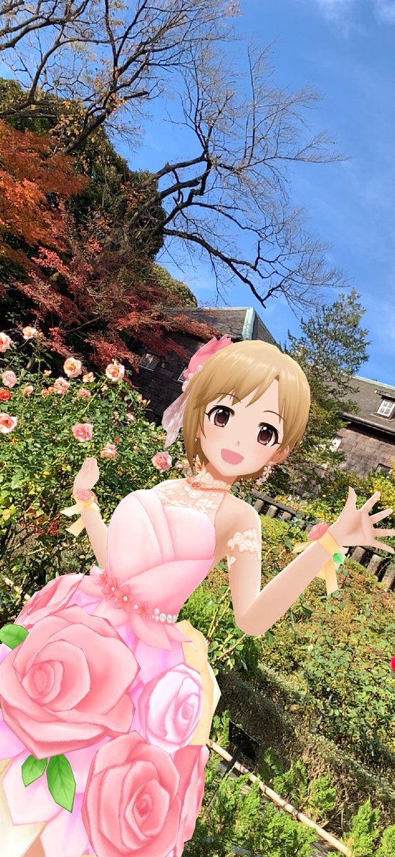 ROA1_P's tweet photo. バラ園🌹と紅葉🍁
同時に見れる期間は本来短いのですが、今年は秋が比較的暖かく秋バラがいつも以上にもったので、その期間も少し長くなったようですね〜

旧古河庭園にて
#デレステAR #デレスポAR
#7時25分は藍子のゆるふわタイム
#高森藍子 #相葉夕美 #Flowery https://t.co/PSK0iX0Zlj