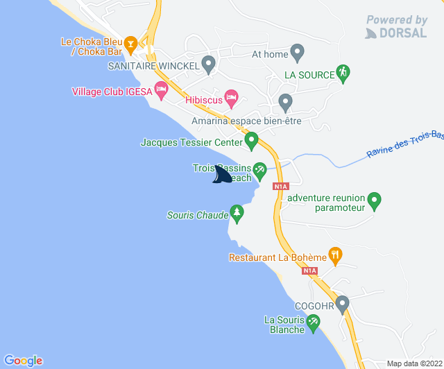 Centre Sécurité Requin tweet media