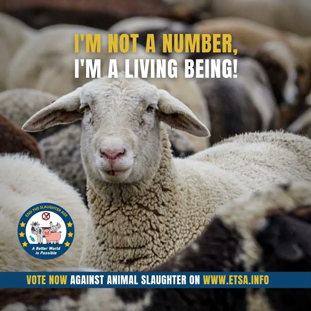ETSA_Ireland's tweet photo. If you believe that our Fellow Animals have a Right to their Lives...Please Sign at https://t.co/RkaHggkgu0 to #EndSlaughter 🙏✍️🇪🇺 https://t.co/d0F2isROlB