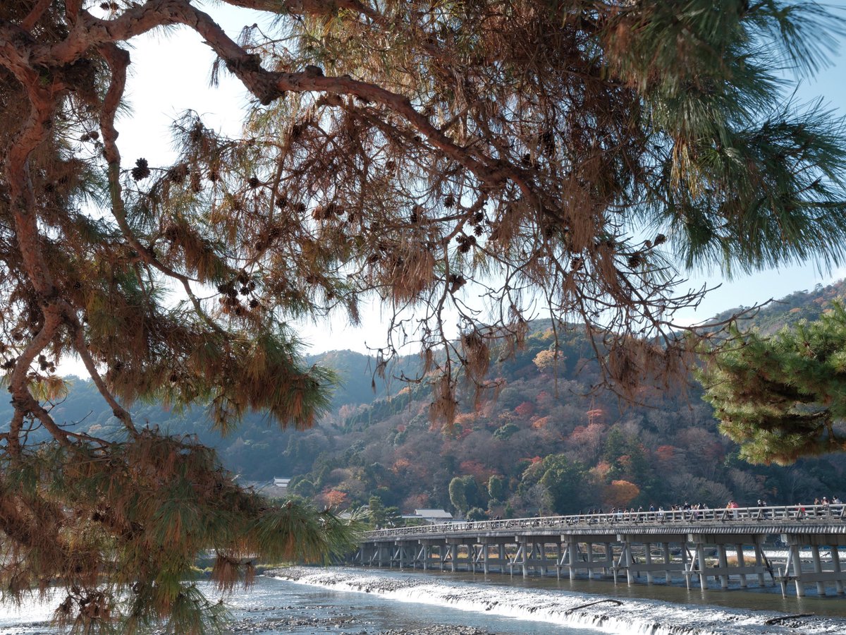 onikameko's tweet photo. 2022.12.11 京都 渡月橋
#fujifilm #gfx100s #gf3570 https://t.co/vxEgkUuB6O