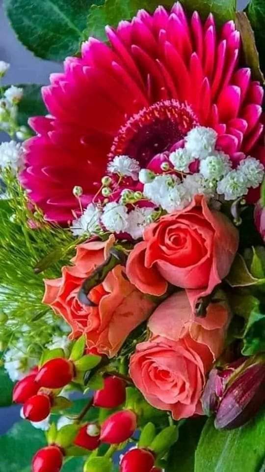 أبو بندر tweet media