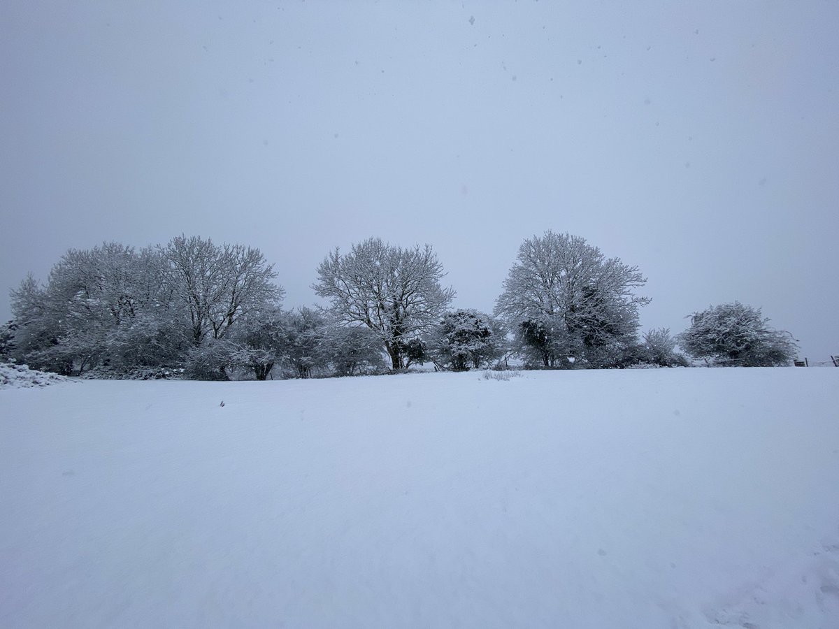 richs107's tweet photo. @WestWeather GL6 this morning https://t.co/MBja1Fru0K