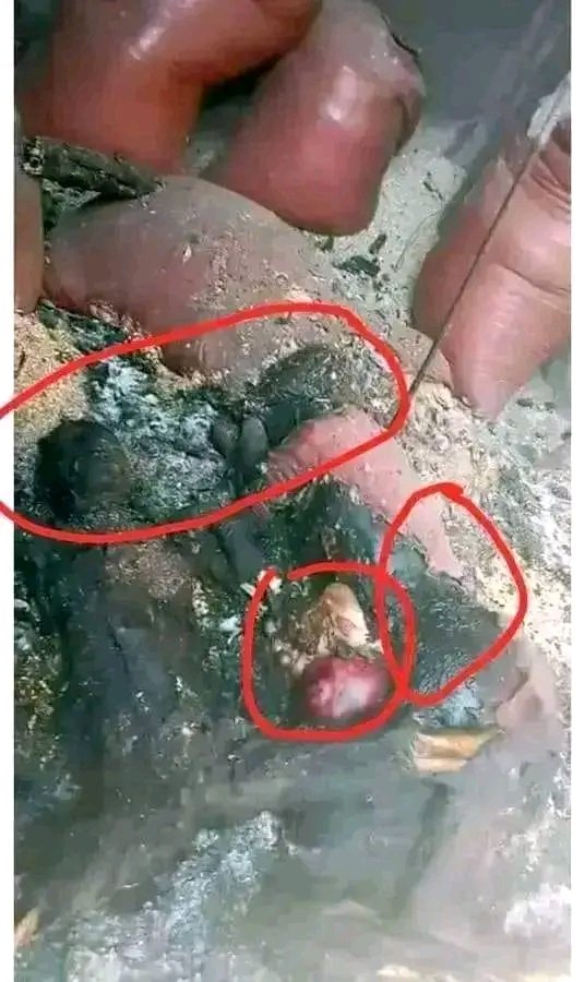 WoodrowFighter's tweet photo. 😭
An 8-month-old pregnant woman was set on fire in her home in Horro Guduru Wallaga. Are these guys (Faanno) human children? They recorded video when they had done that! The world needs to hear about this horrible act. https://t.co/3rA6SolxIp