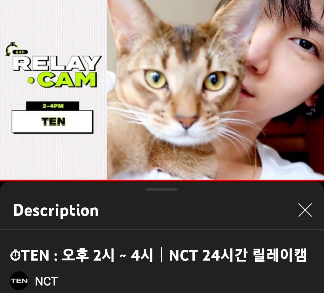 that_Yong_qin's tweet image. ตอนนั้นมี น้องแมวรีแอคคลิปrelay camของน้องเตนล์ youtu.be/EG4wXgEw2QY เยอะมากในแท็กนี้ #kitTENCamReact

แบบไม่ใช่คนที่ดูแต่เป็นน้องแมวจริงๆที่ดู😂🐱 แล้วก็มีน้องanimalอื่นๆด้วย

Remember when ppl share the moments of their Cats reacting to TEN&apos;s relay cam here #kitTENCamReact