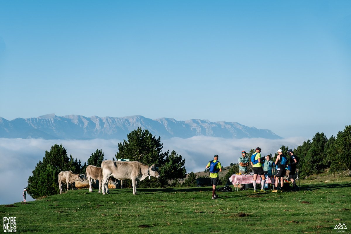 BiFree_Sports's tweet photo. Happy #InternationalMountainDay 🌄
Feliz #diainternacionaldelasmontañas 🏔️
Feliç #diainternacionaldelesmuntanyes ⛰️
@PyrStageRun 
@CostaBravaRun 
@tugawear 
@costabrava 
📸 @GCasanovaphoto #LluísToll https://t.co/KB7gL94nP8