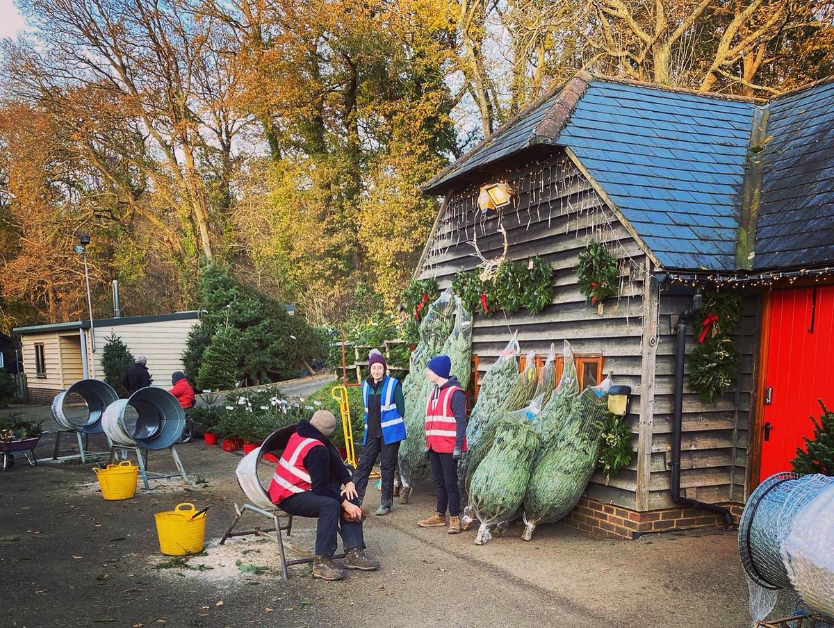 GGHotels's tweet photo. It’s happening…it’s inevitable…you know what…Have you got yours yet 😜🎄
#christmastree #christmastreefarm #traditional #exciting #realchristmastree #itsbeginningtolookalotlikechristmas #worldwide #globalgreathotels #theworldisyouroyster #whatareyouwaitingfor #wishyouwerehere https://t.co/8cuU8txbEQ