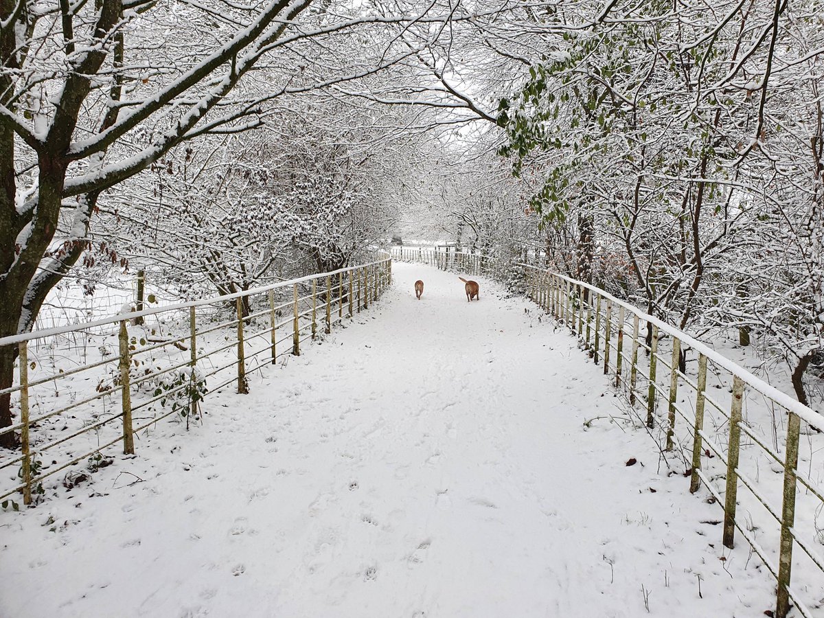 ToLOverlord59's tweet photo. So this was nowhere on the weather forecasts! https://t.co/O9648K48ol