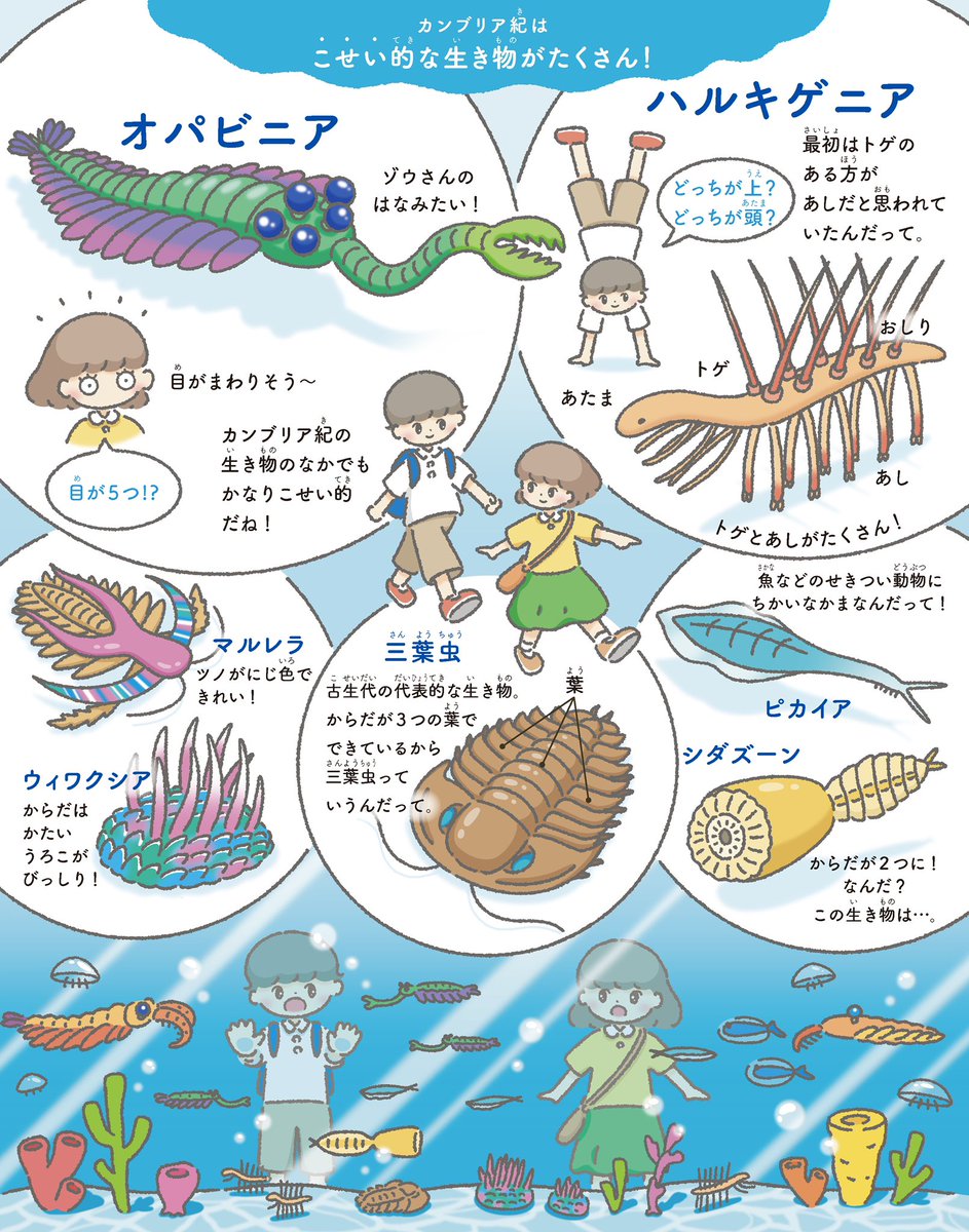 カンブリア紀の個性的な古生物図鑑👀 