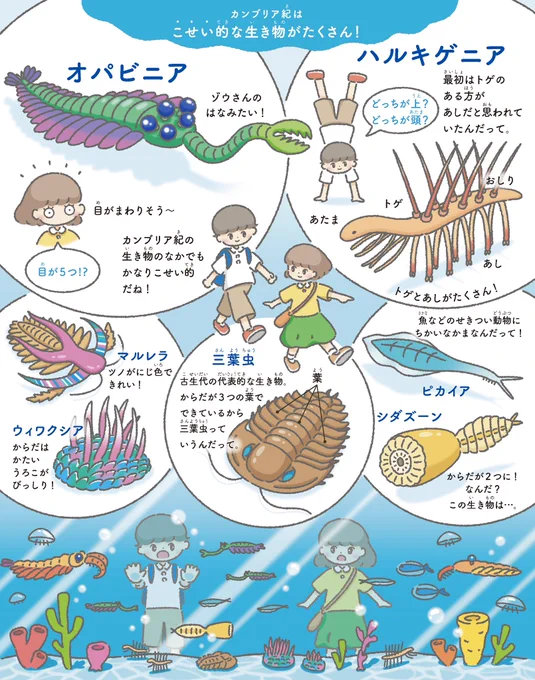 カンブリア紀の個性的な古生物図鑑👀 