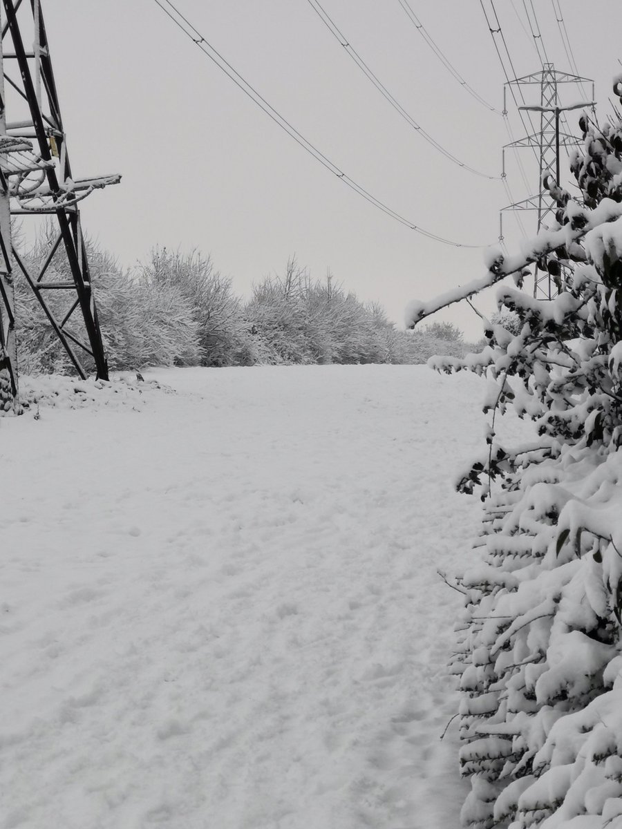Now on BBC One a new adventure for Tom Baker as the Doctor in the Pylons of Snow...
