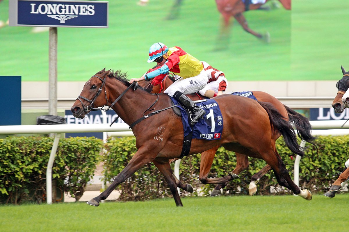 Wellington rises to the challenge with sparkling Sprint success. #HKIR #HKracing 

<a href="/tompeacock/">Tom Peacock</a> reports.

Read here 👉 racingnews.hkjc.com/english/2022/1…