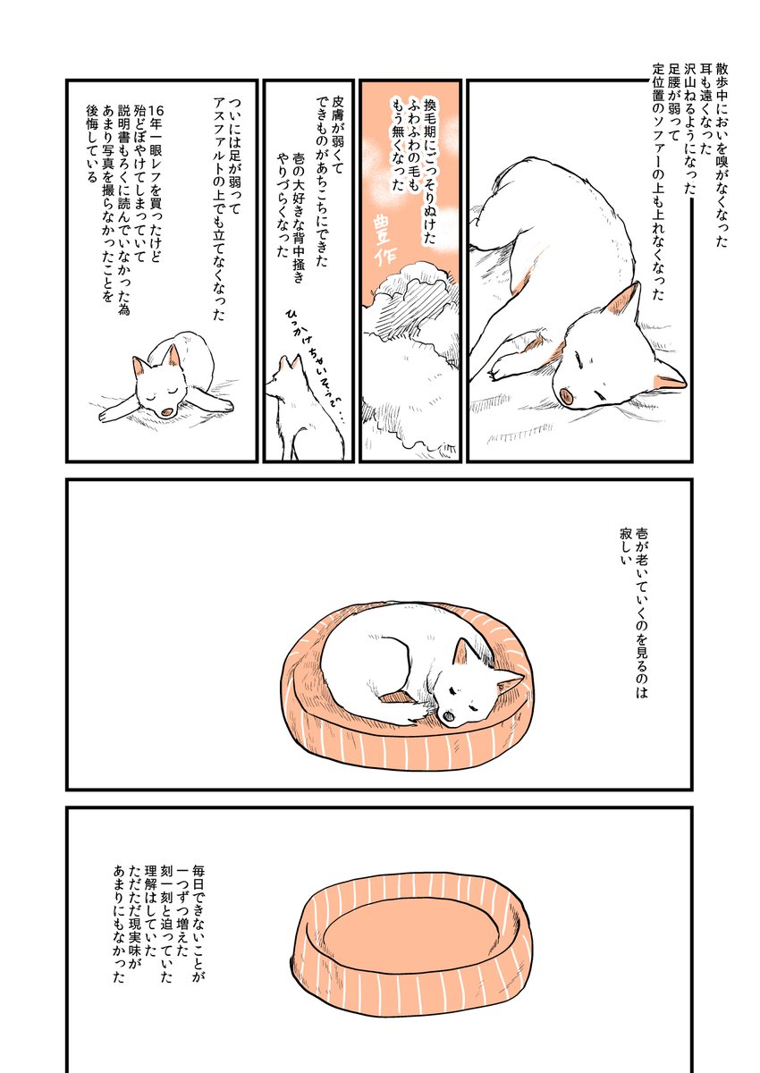 2年前に飼い犬がいなくなったときの漫画です
犬肌恋しい季節になってきたので再掲(1/2) 