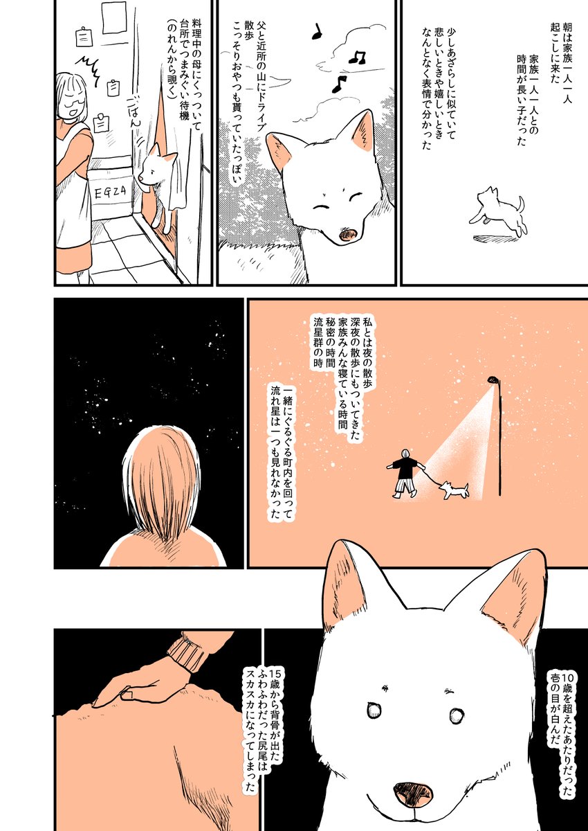 2年前に飼い犬がいなくなったときの漫画です
犬肌恋しい季節になってきたので再掲(1/2) 