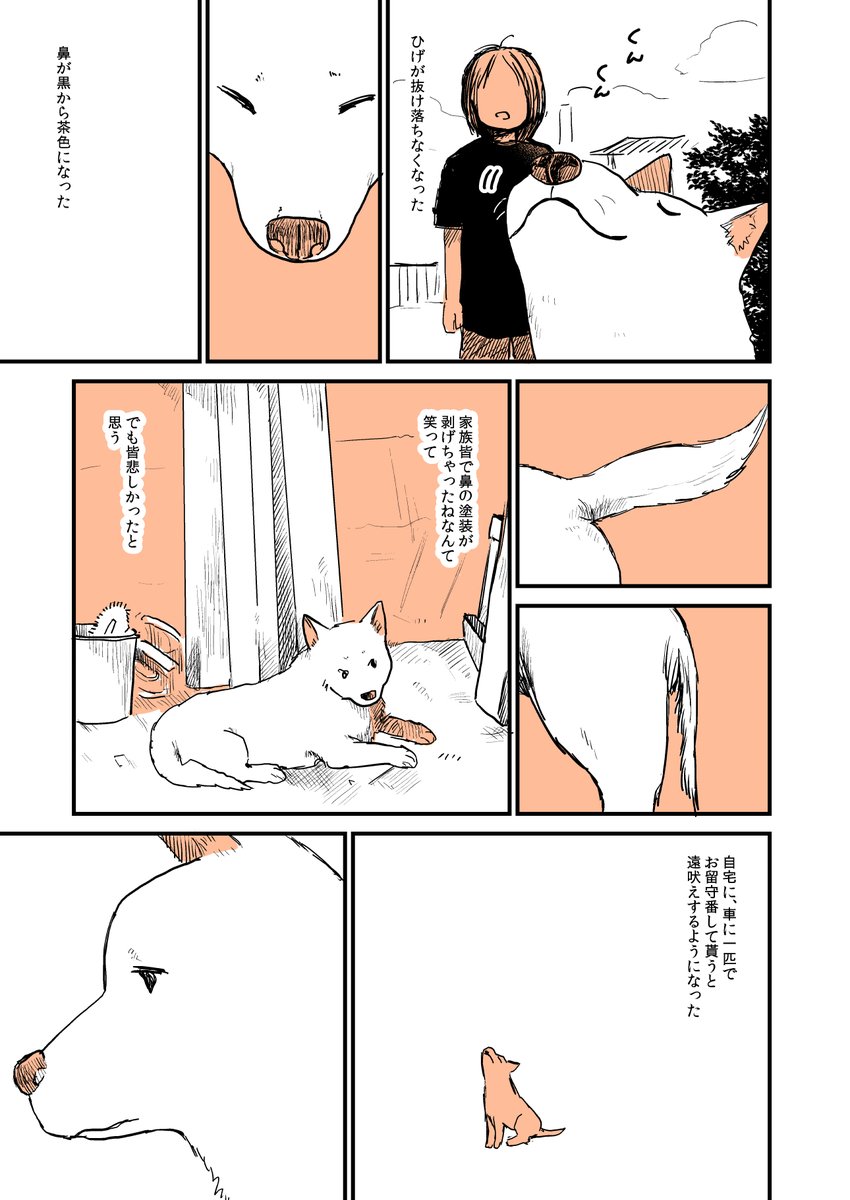 2年前に飼い犬がいなくなったときの漫画です
犬肌恋しい季節になってきたので再掲(1/2) 