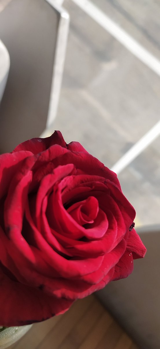 PeygamberimeYapılan İftira

O'nu incitecek her şeyin karşısında Tevhidle duracak ümmeti...