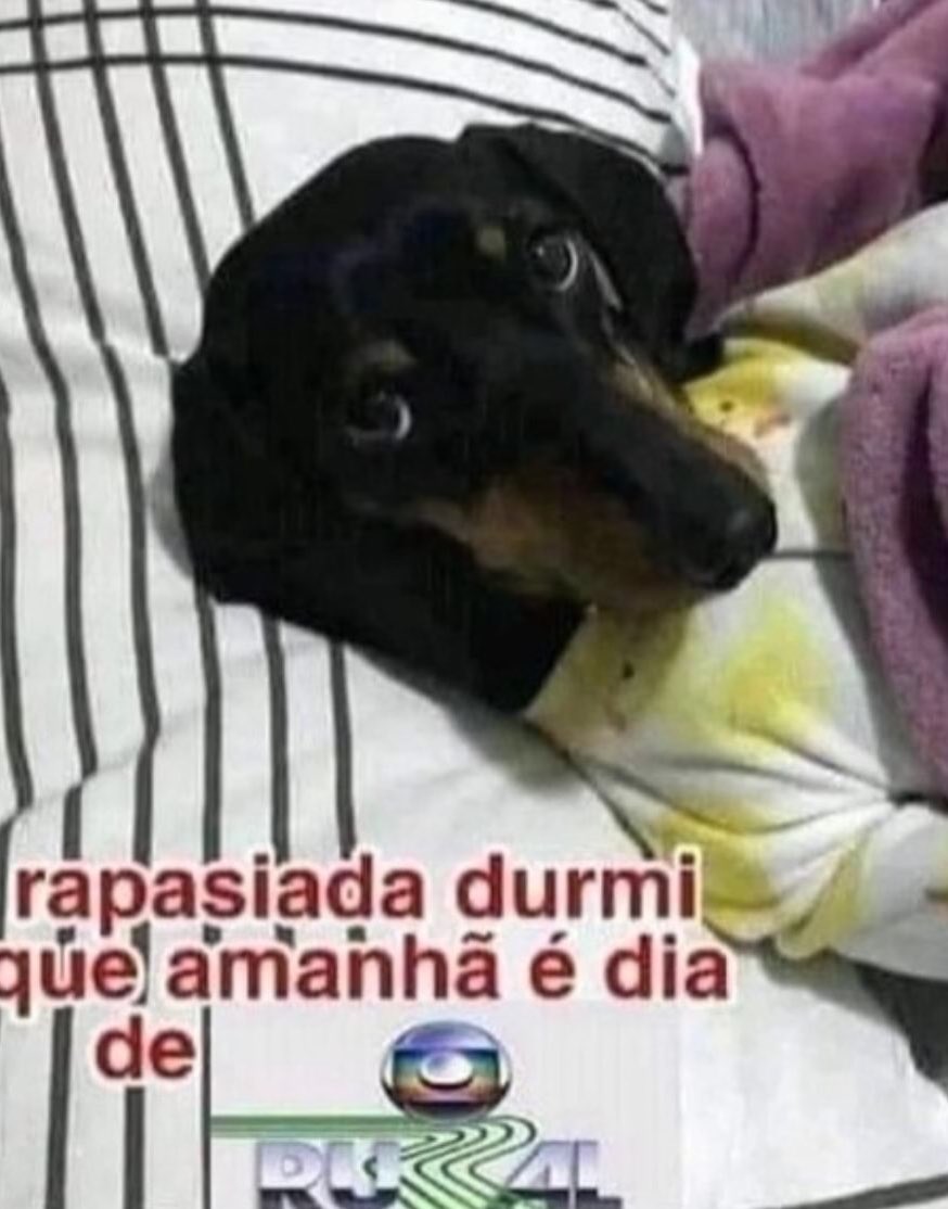 shitpostverdade's tweet photo. https://t.co/5rMA8QmmYz
