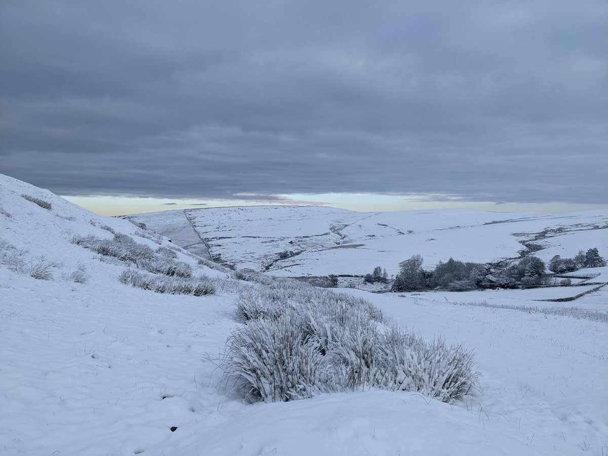 Deep and crisp and even...