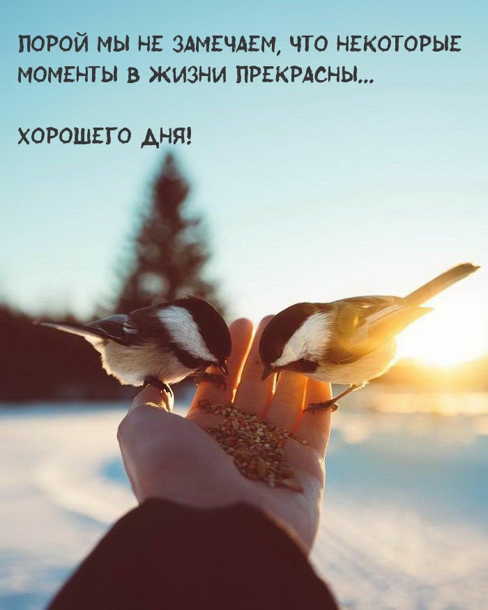 epjEe5DfZ9ui1M7 tweet picture