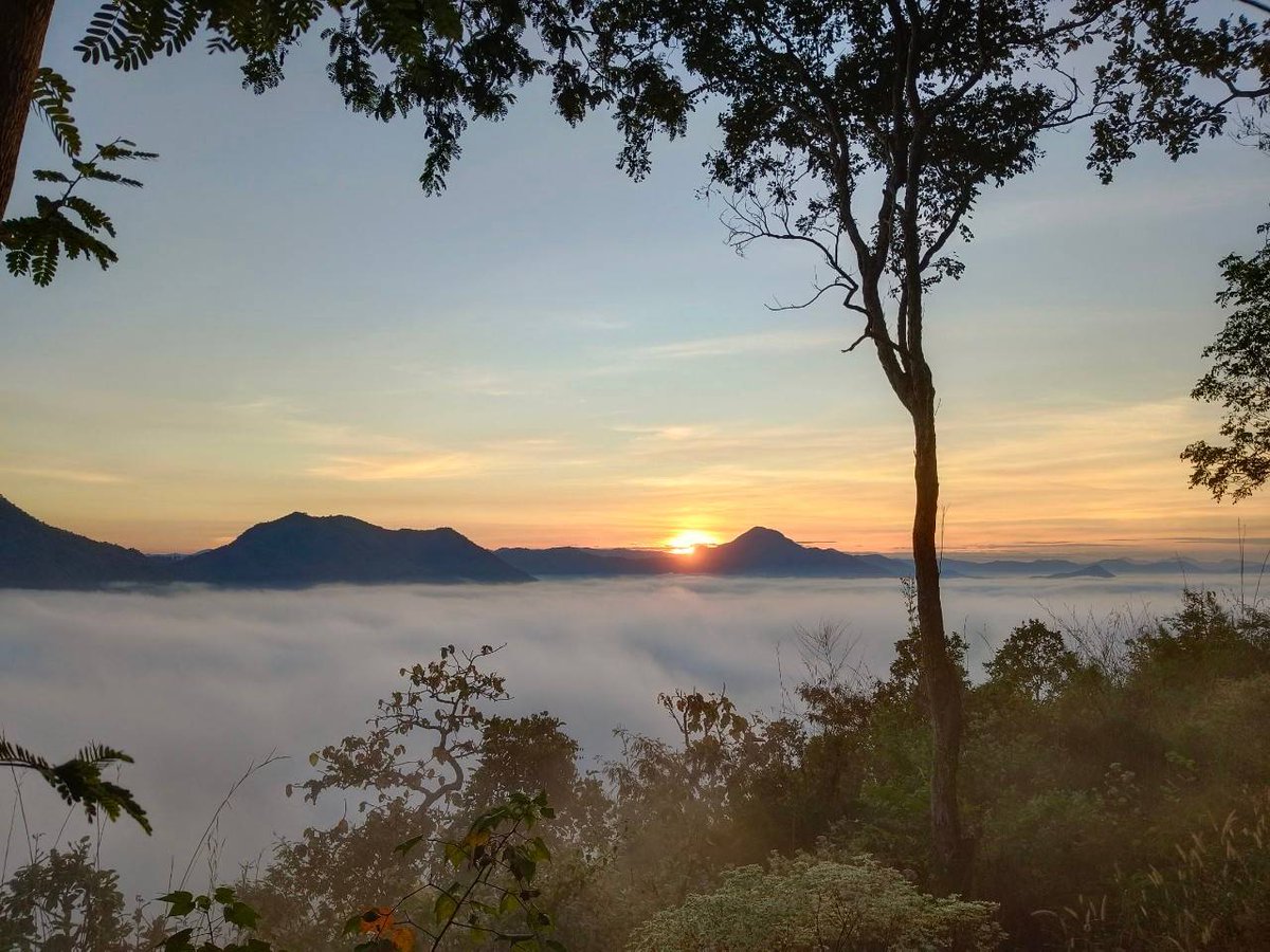 เจ้าตะถ่ายทะเลหมอกมาฝากทุกคนด้วยล่ะ ╰(*´︶`*)╯