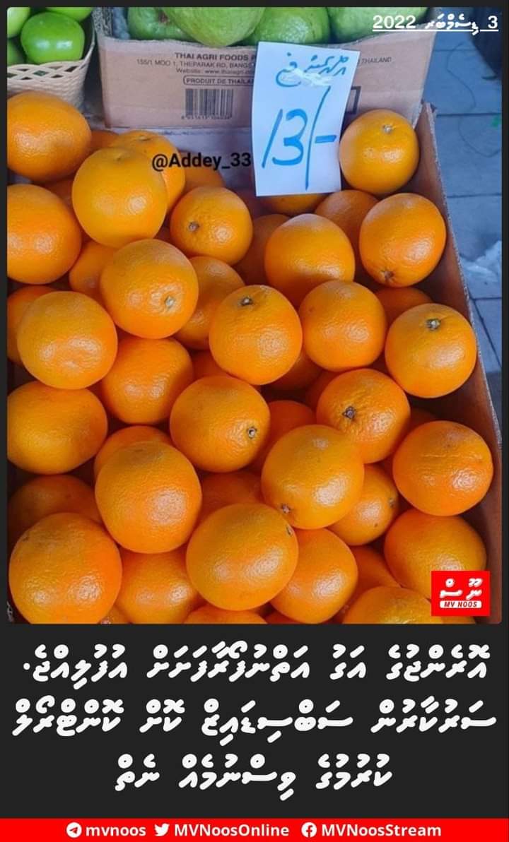 Alimoosaismail's tweet photo. @Farthun2 ހަމަ ހާމަކަން މޯކުޅިންވެސް ހުކުމުގަވެސް https://t.co/lwDoG6USOB