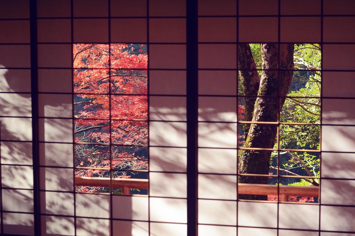 no humans scenery tree sliding doors indoors shouji nature  illustration images