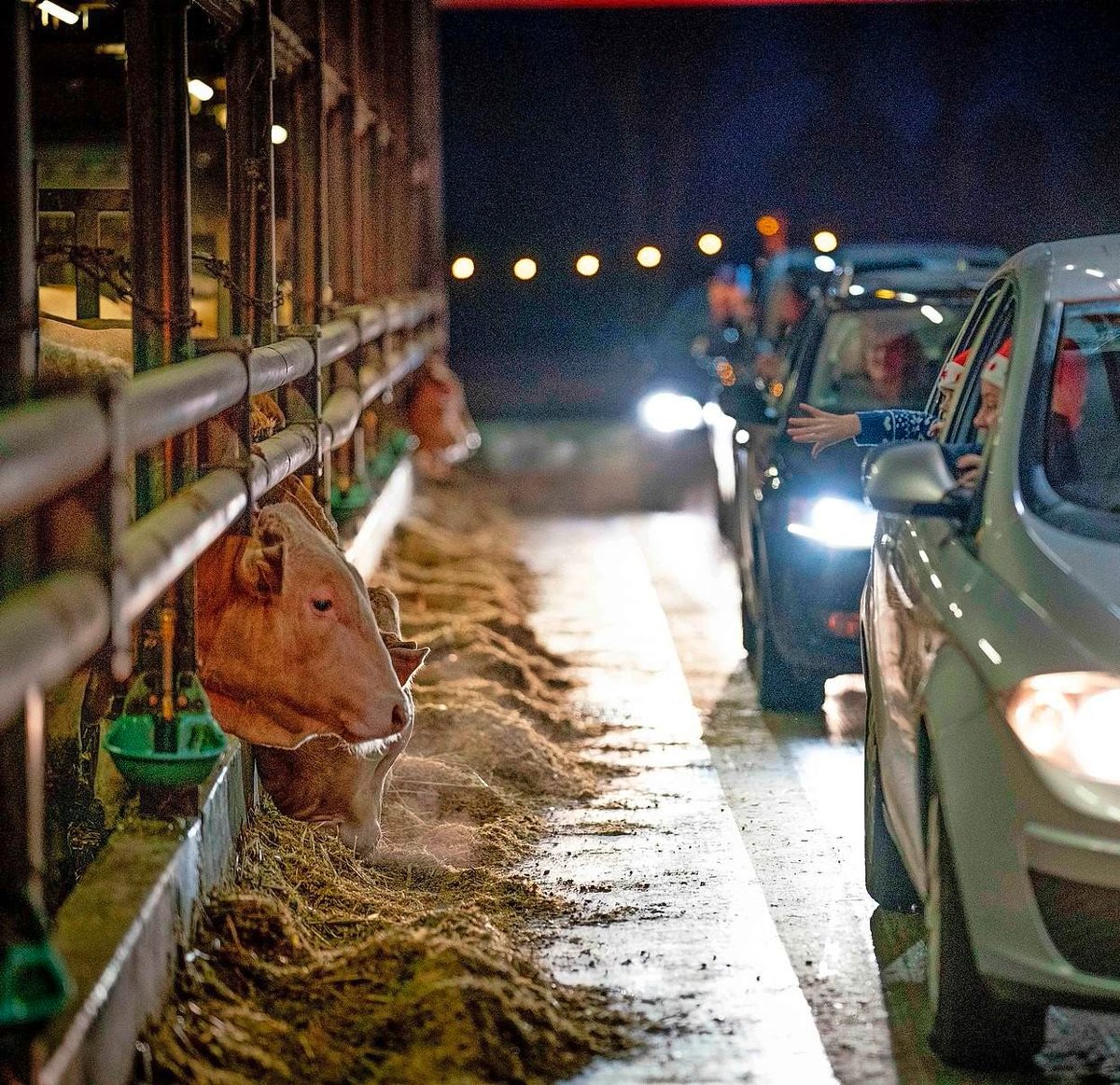Duizend voertuigen koersen op een zaterdagavond langs boerenbedrijven. Kerstspullen, lampjes, flesje wijn: de sfeer zit er altijd wel goed in dlvr.it/SfB4ZJ