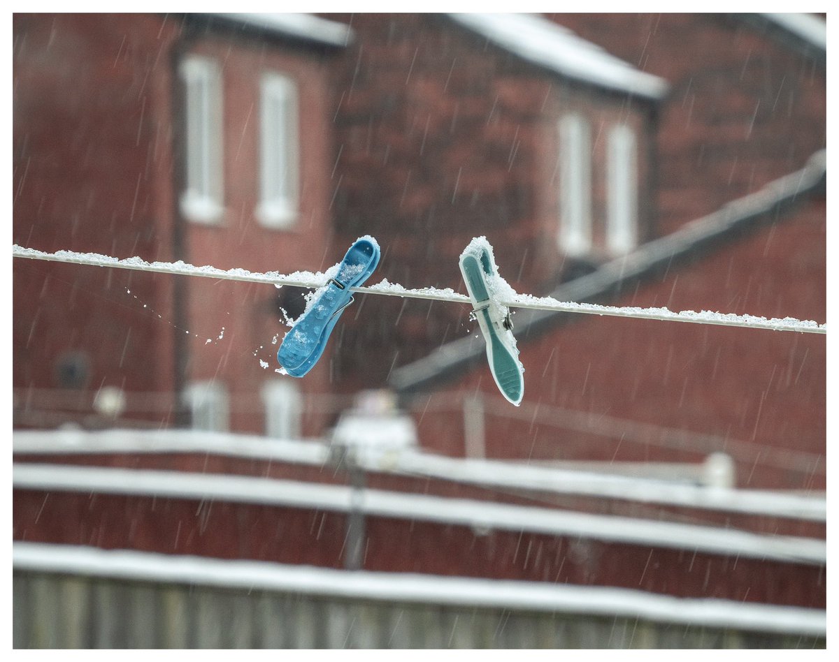 jamesbolton2222's tweet image. Snowing again! #snowdays #snowing #washingline