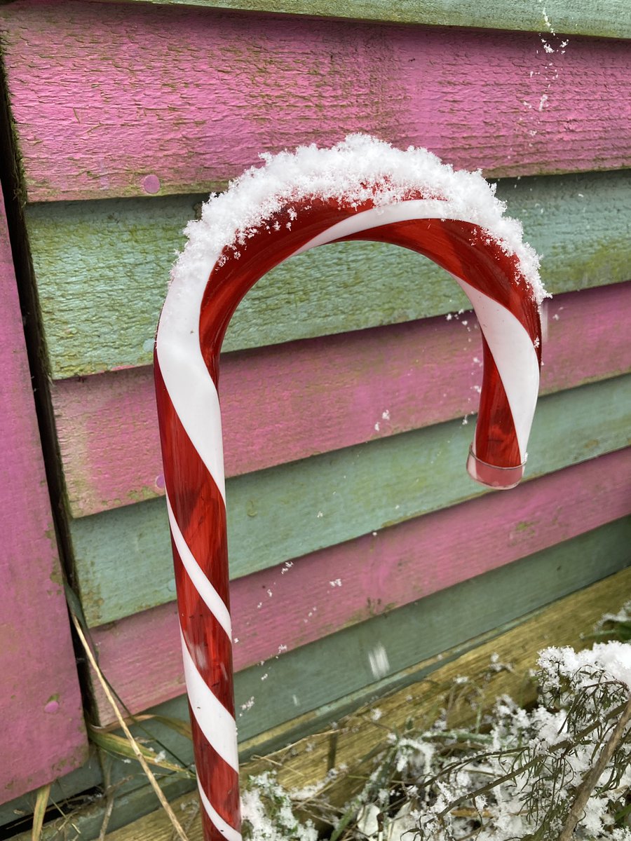 wurdsmyth's tweet photo. It’s snowing by the Stripey Shed this morning… ☺️❄️

#HelloSnow 
#TinyGardenTales https://t.co/ISYpDbmUSO