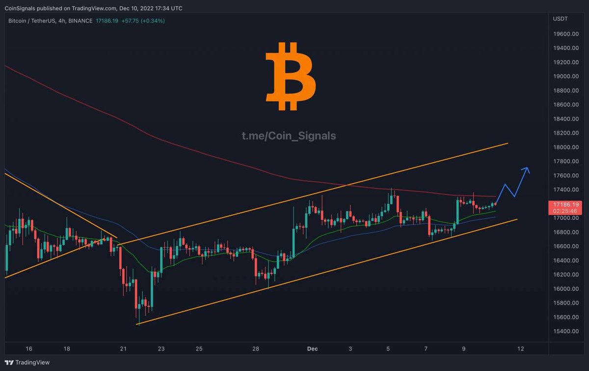 Darcy6933's tweet photo. 🥇  BTC Short term there is high possibility of 5% pump!

Next pump will be our entry for Short trade. https://t.co/qgkg9uPXjN