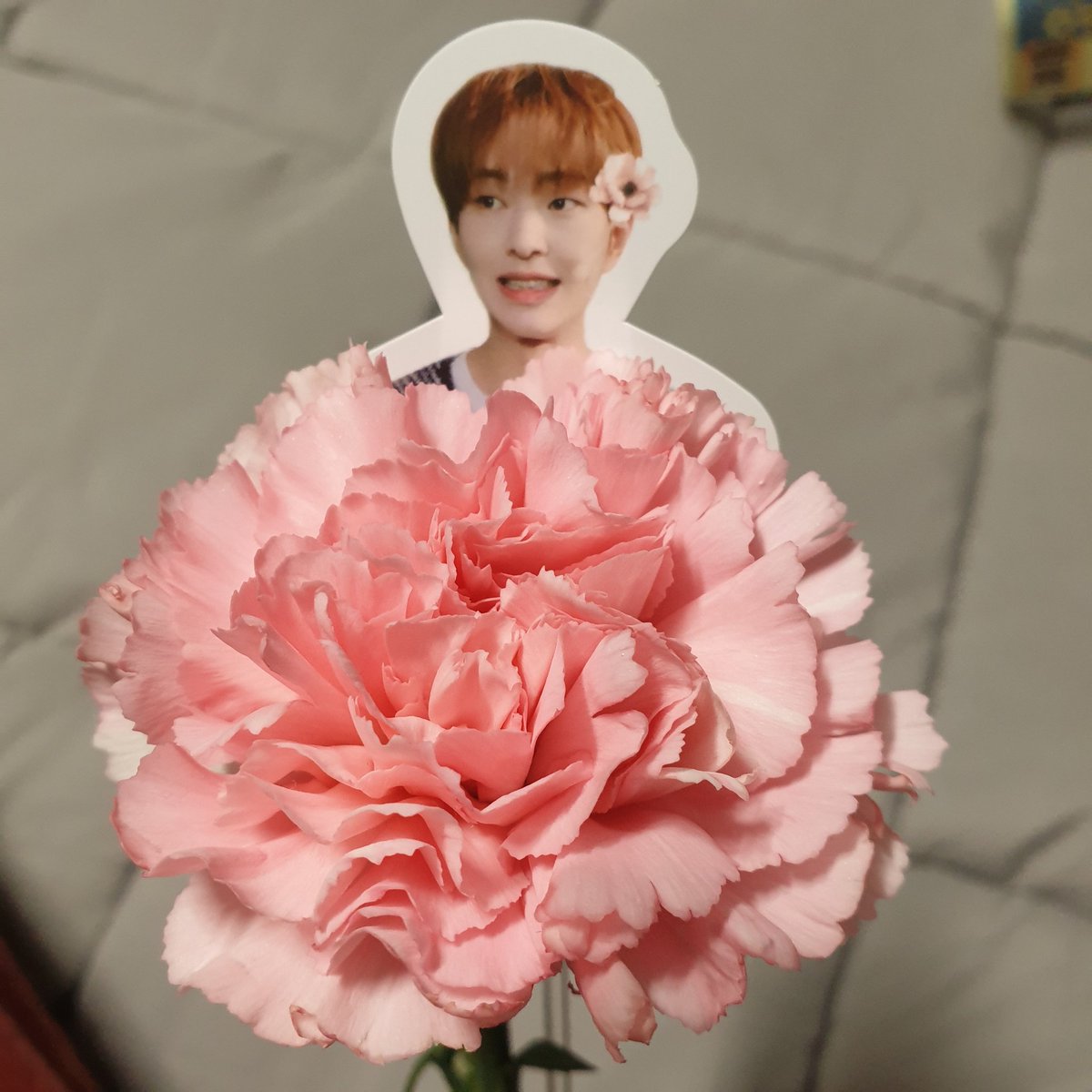 진기만큼 예쁜 꽃♡감사합니당^^
#나의꽃_진기에게