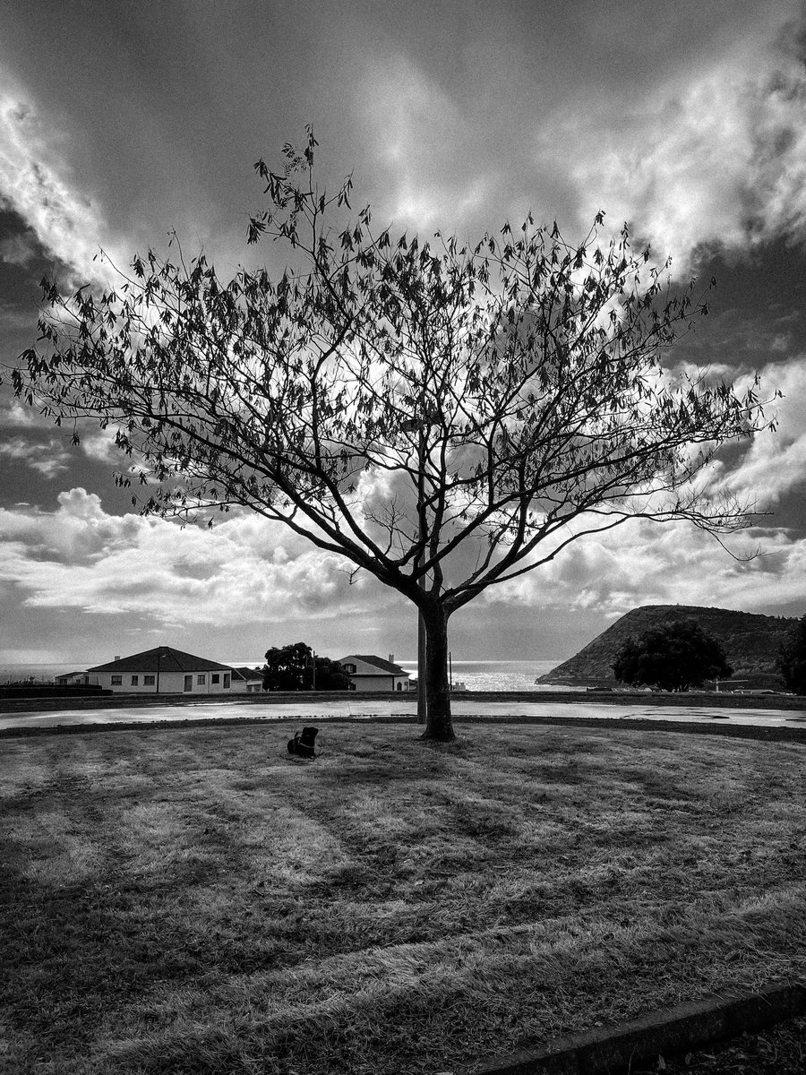 Alpacacanaria's tweet photo. Postcards of nostalgia 🧠🫀 https://t.co/v4sxv0ky9K