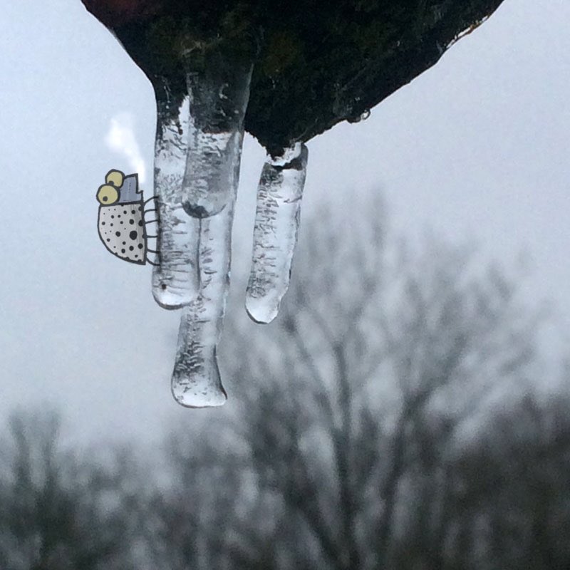 willemkolvoort's tweet photo. πβοΈππ₯Ά
De IJskever zit er nog hoor! #candybeetle #ijskever #waarneming https://t.co/hVGZksTDrW