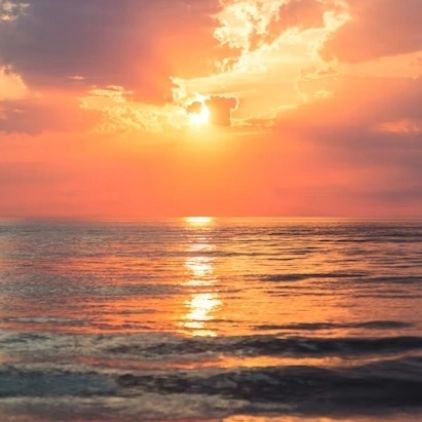 Yana Castañeda tweet media