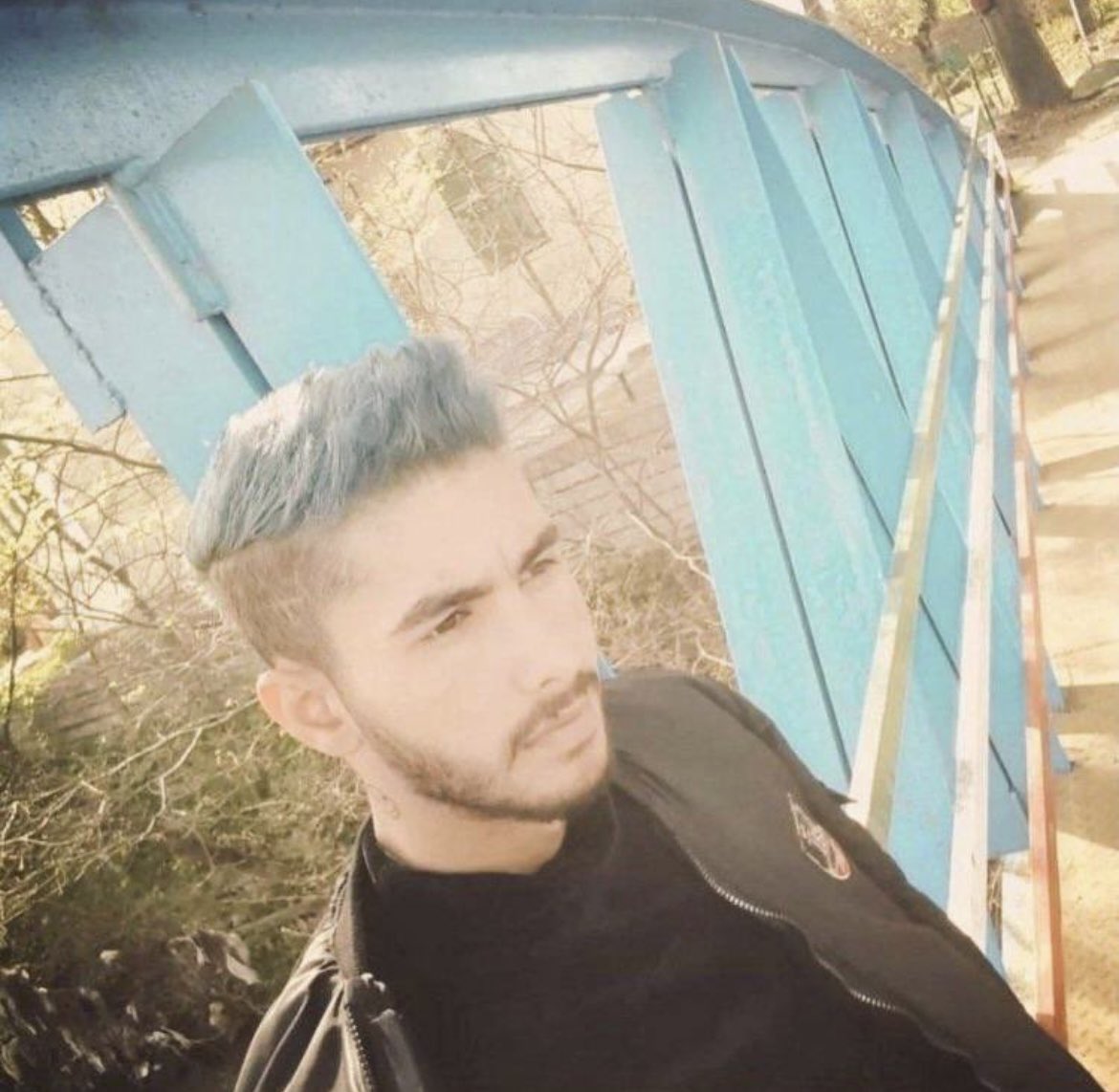 Shoura Hashemi tweet media